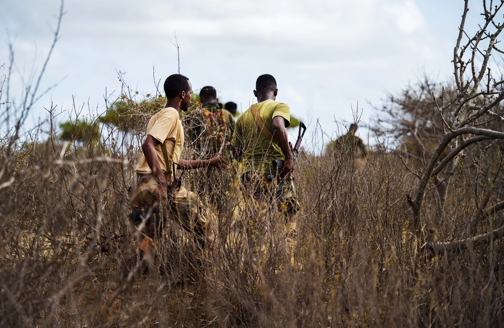 Danab Xoogga Dalka1.jpg